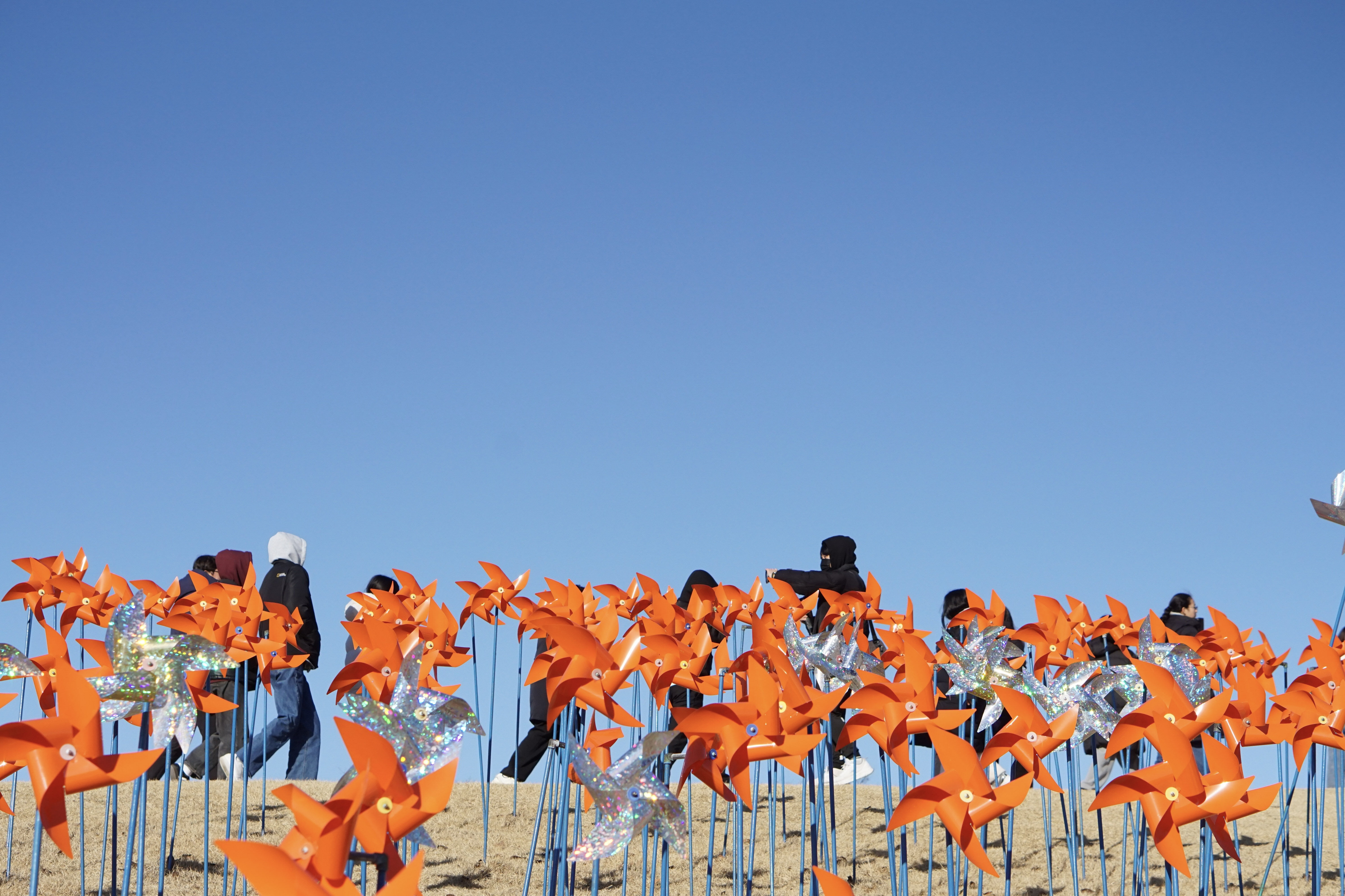 14-임진각평화누리공원 (8).jpg