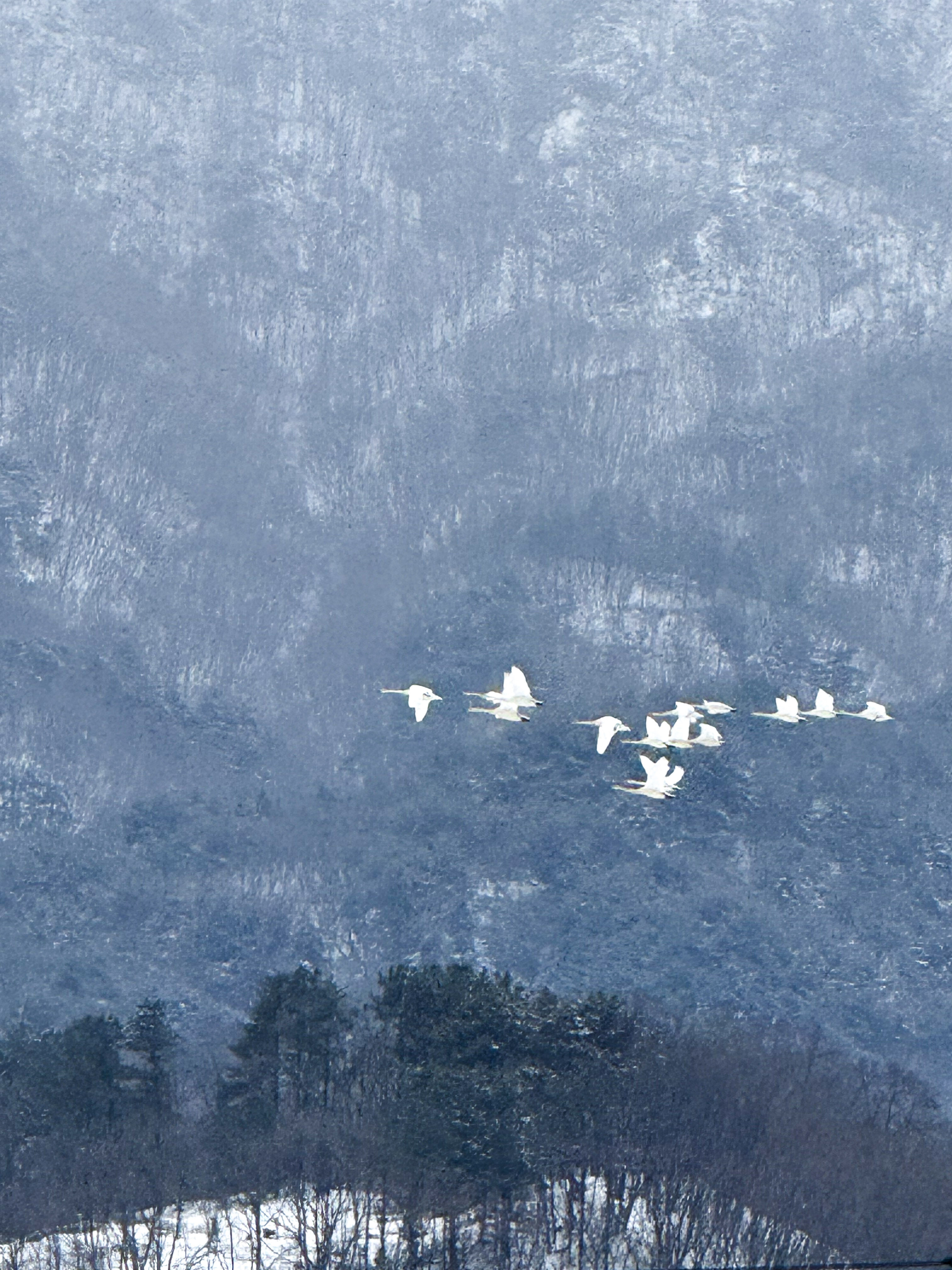 8-평화의길16코스 (79).jpg